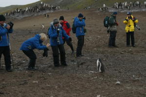 Chick with Photographers