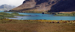 Jason harbour lagoon