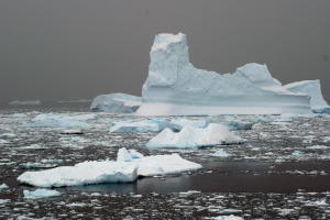 Iceberg, Growlers, Bergie Bits