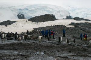 Hikers among the penguins