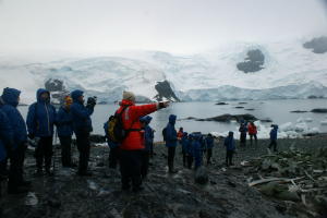 Tom Leads Group