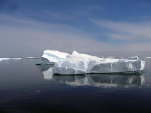 Iceberg