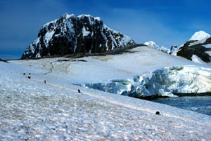 Penguin Trail in Snow