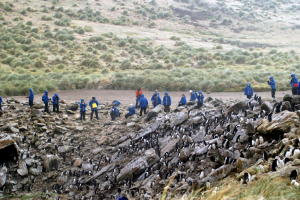 Photographers around colony