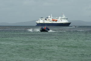 Dolphins follow zodiak