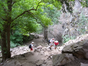 Climbing the Trail