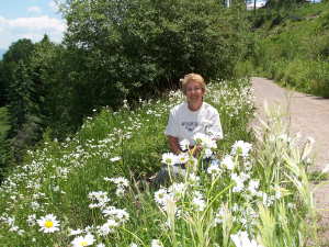 Barb in Field of Daisies