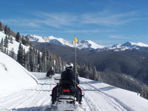 On the trail