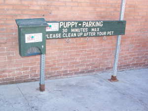 Puppy Parking