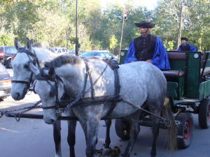 Visit to Hungarian Horse Farm