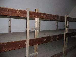 Bunks in Prison Cell