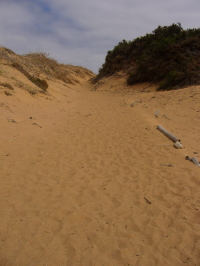 Trail over Sand Dunes