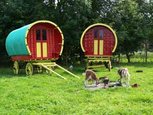 Tinker Wagons - Bunratty Folk Park