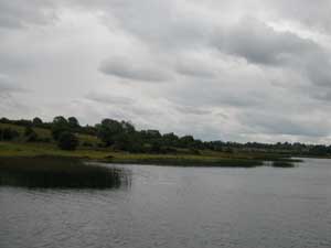 Banks of Shannon River