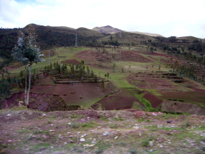 Fields in Cusco Highlands
