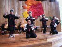 Dancers at native Heritage Center